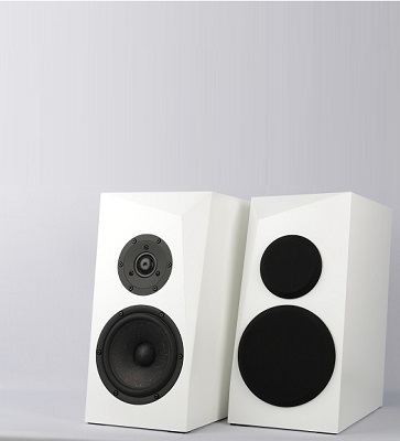 Satori Ara 2-Way Speaker Kit Photo